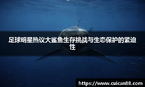 足球明星热议大鲨鱼生存挑战与生态保护的紧迫性